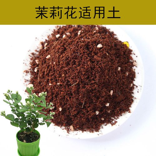 茉莉花适合的土壤类型