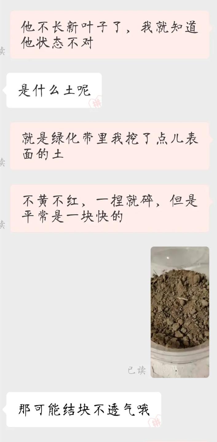 如何为茉莉花选择合适的土壤