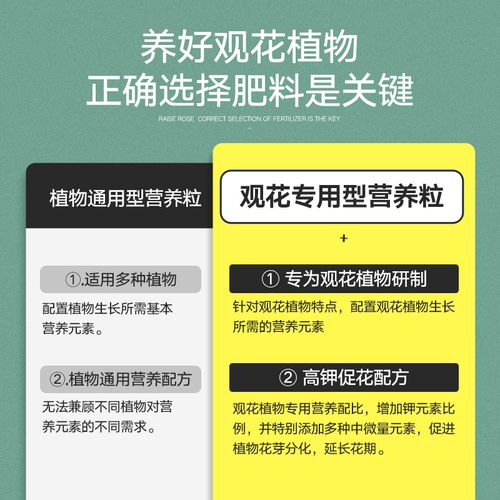 花卉专用肥如何选择和使用