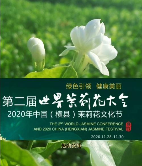 茉莉花的文化传说