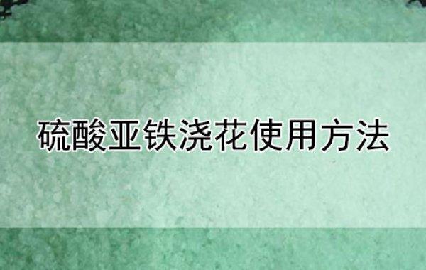 如何正确使用硫酸亚铁