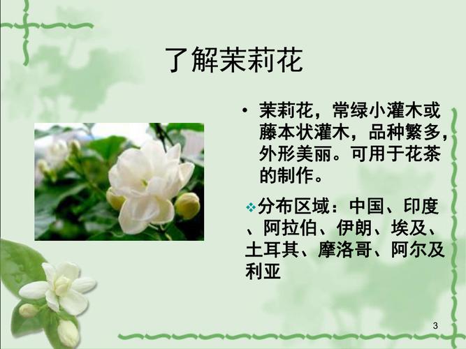 茉莉花的文化意义