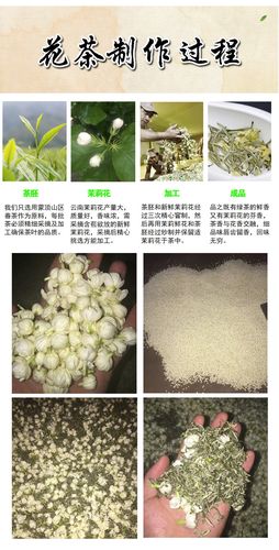 如何制作茉莉花茶