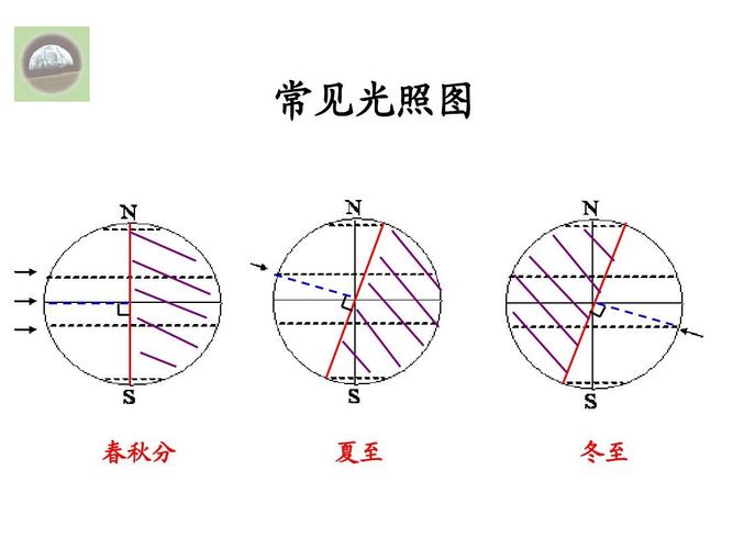 光照的重要性