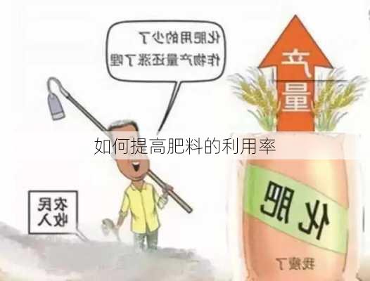 如何提高肥料的利用率