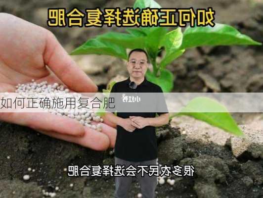 如何正确施用复合肥