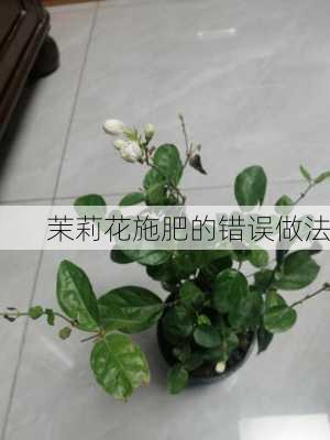 茉莉花施肥的错误做法