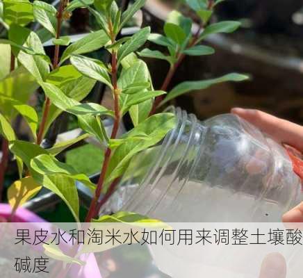 果皮水和淘米水如何用来调整土壤酸碱度