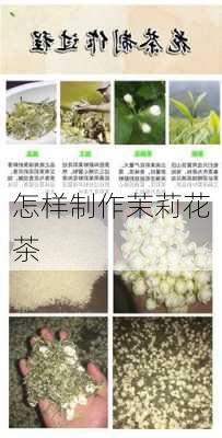 怎样制作茉莉花茶