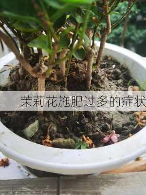 茉莉花施肥过多的症状