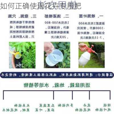 如何正确使用花卉专用肥