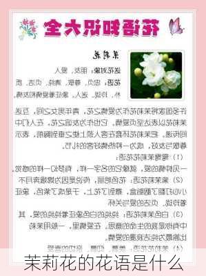 茉莉花的花语是什么