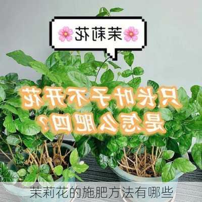 茉莉花的施肥方法有哪些