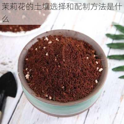 茉莉花的土壤选择和配制方法是什么