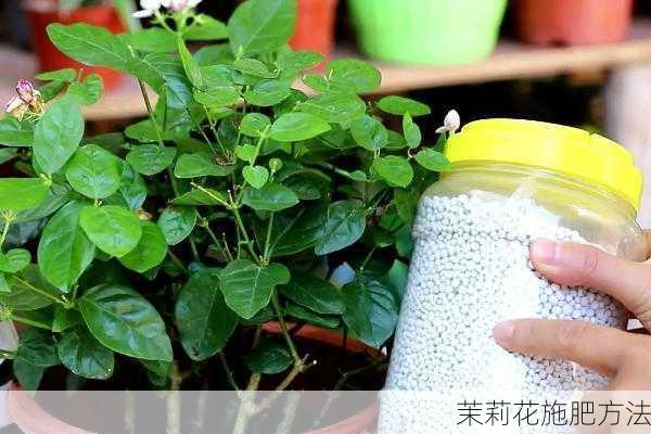 茉莉花施肥方法