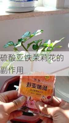 硫酸亚铁茉莉花的副作用