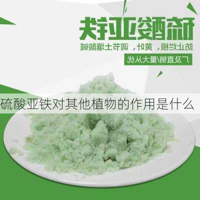 硫酸亚铁对其他植物的作用是什么