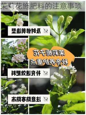 茉莉花施肥料的注意事项