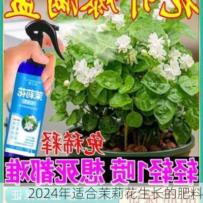 2024年适合茉莉花生长的肥料