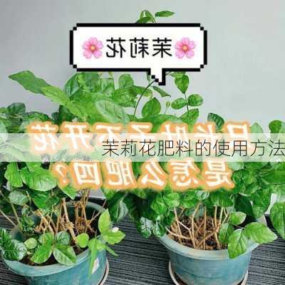 茉莉花肥料的使用方法