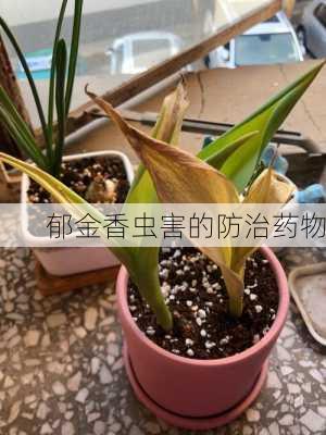 郁金香虫害的防治药物