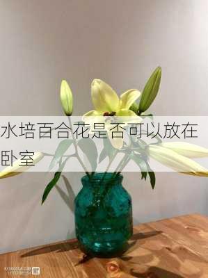 水培百合花是否可以放在卧室