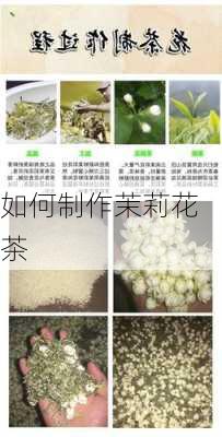 如何制作茉莉花茶