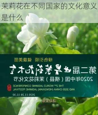 茉莉花在不同国家的文化意义是什么