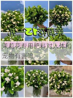 茉莉花专用肥料对人体和宠物有害吗