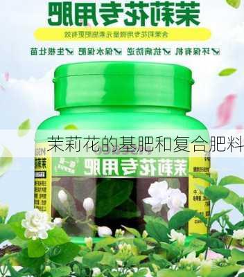 茉莉花的基肥和复合肥料