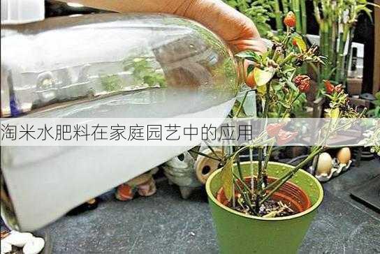 淘米水肥料在家庭园艺中的应用