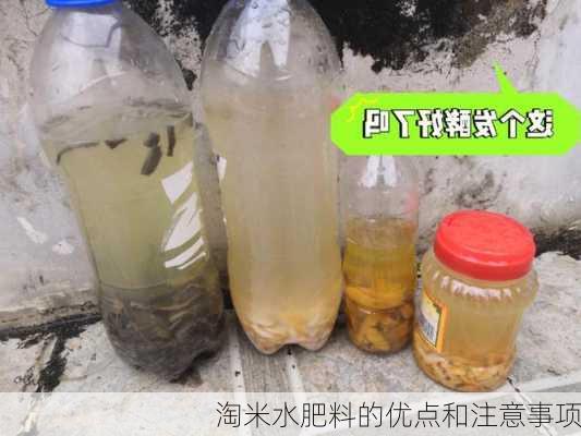 淘米水肥料的优点和注意事项