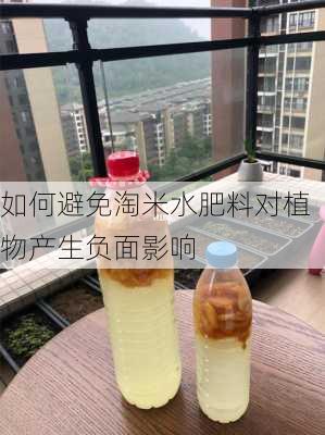 如何避免淘米水肥料对植物产生负面影响