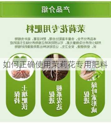 如何正确使用茉莉花专用肥料