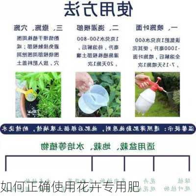 如何正确使用花卉专用肥