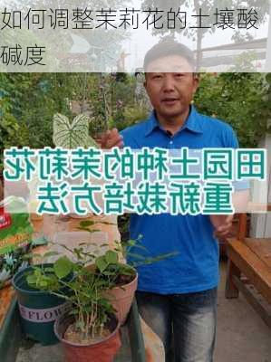 如何调整茉莉花的土壤酸碱度