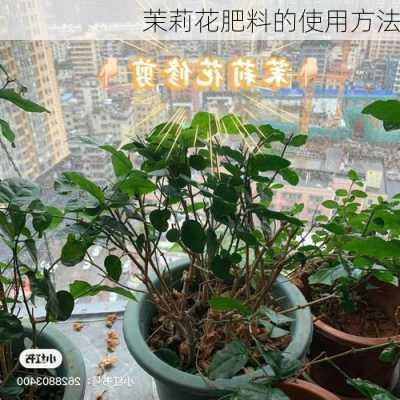 茉莉花肥料的使用方法