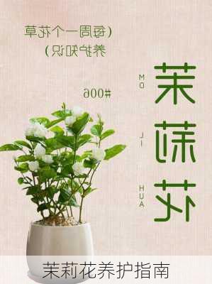 茉莉花养护指南