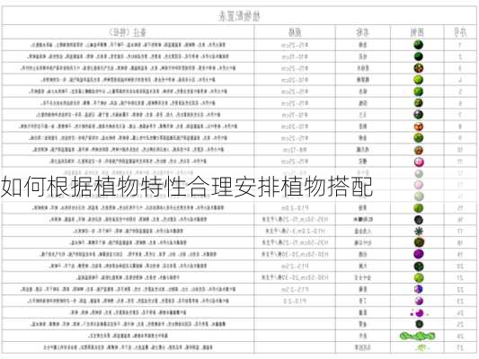 如何根据植物特性合理安排植物搭配