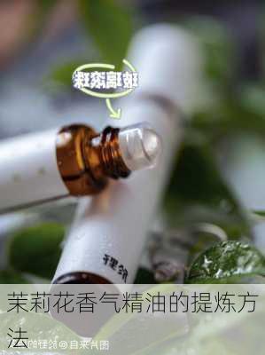 茉莉花香气精油的提炼方法