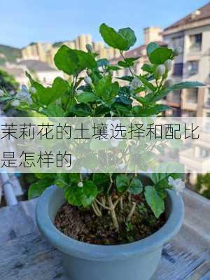 茉莉花的土壤选择和配比是怎样的