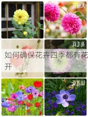 如何确保花卉四季都有花开