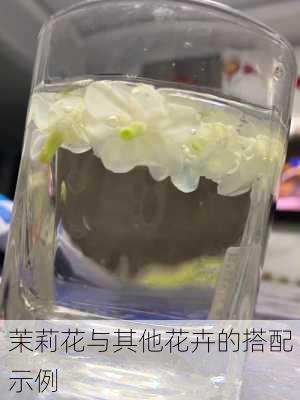 茉莉花与其他花卉的搭配示例