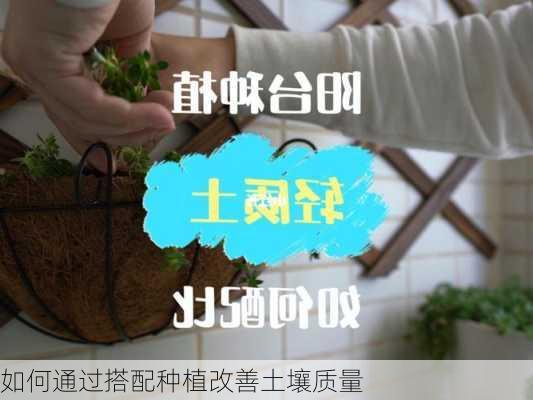 如何通过搭配种植改善土壤质量