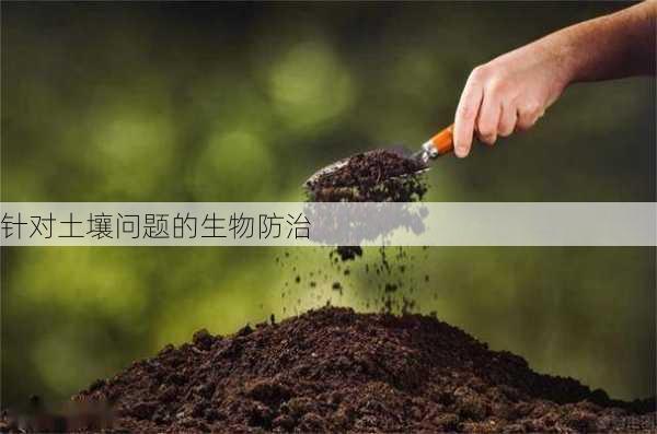 针对土壤问题的生物防治