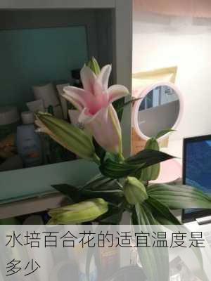 水培百合花的适宜温度是多少