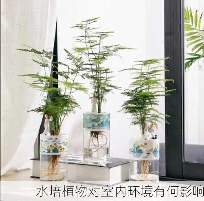 水培植物对室内环境有何影响