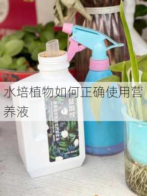 水培植物如何正确使用营养液