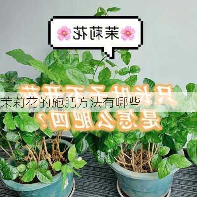 茉莉花的施肥方法有哪些