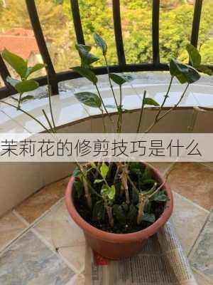 茉莉花的修剪技巧是什么